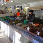Garantiert fangfrischer Fisch direkt am Hafen