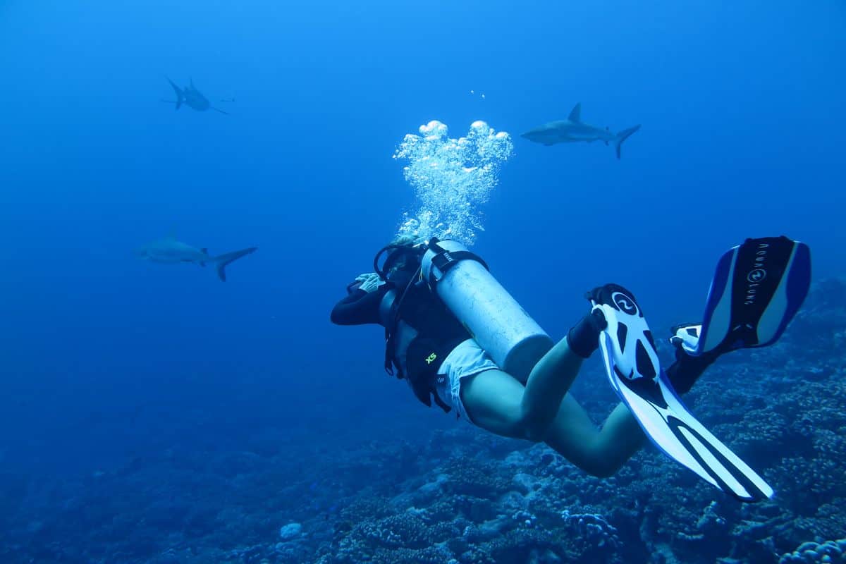 Haitauchgang in Fakarava - Tuamotus